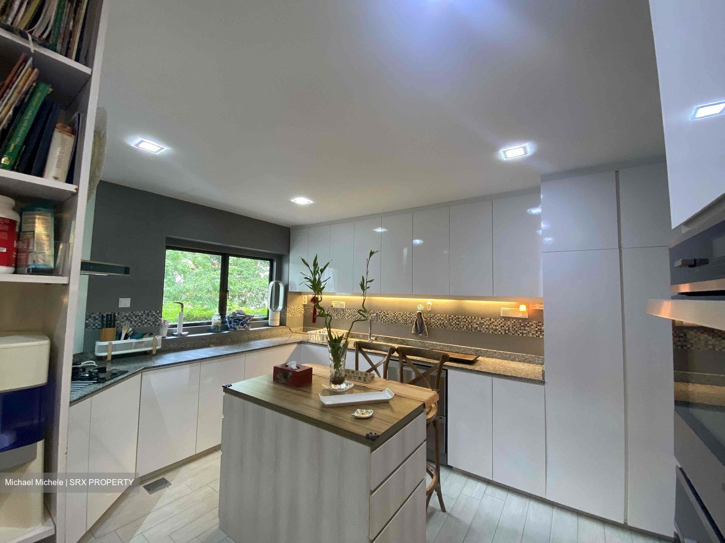 The Arcadia (D11), Condominium #424497021